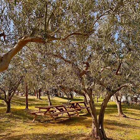 فيلا Oasi Macerina Alanno المظهر الخارجي الصورة