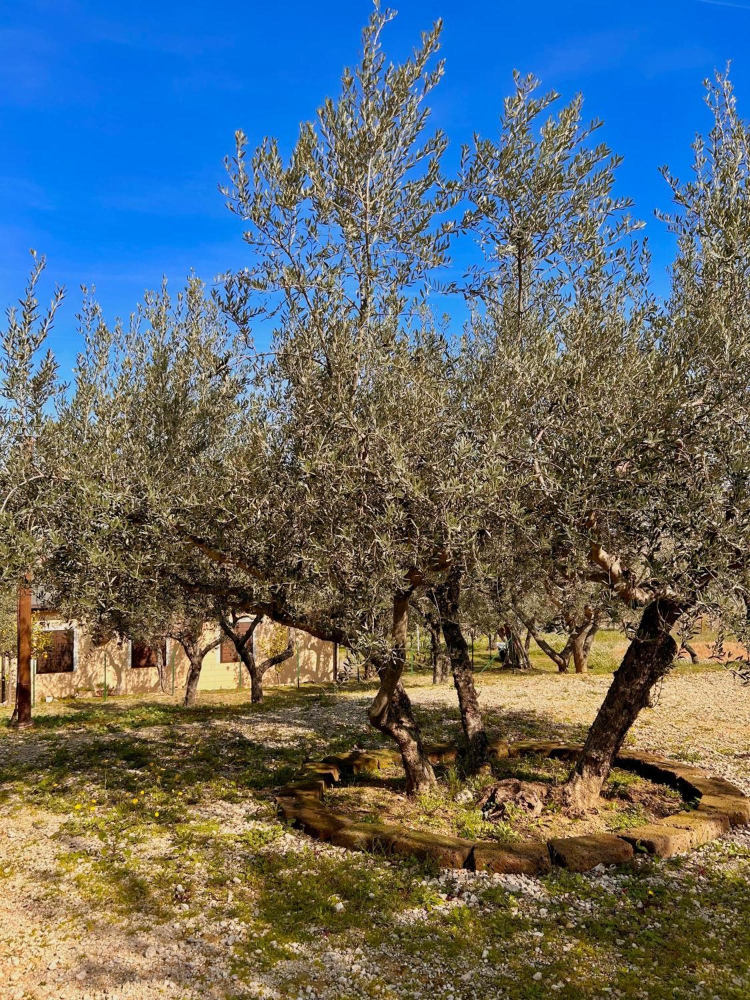 فيلا Oasi Macerina Alanno المظهر الخارجي الصورة