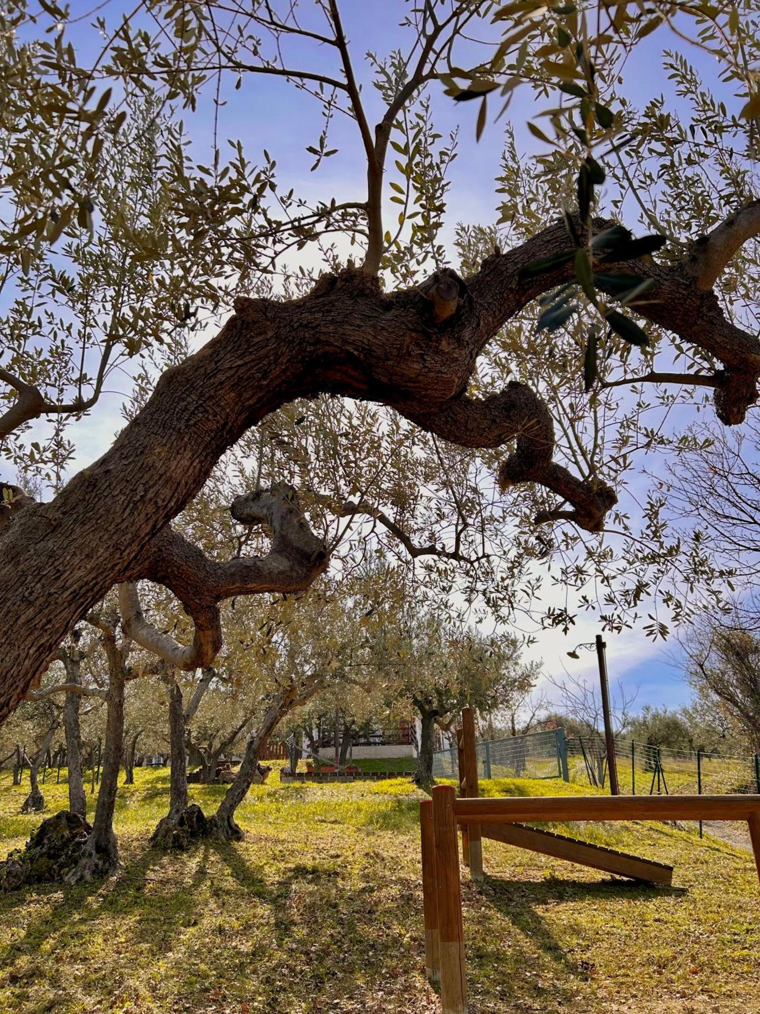فيلا Oasi Macerina Alanno المظهر الخارجي الصورة